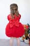 Baby Girl Kids Dress Long Sleeve Tulle Tutu Special Occasion Party Birthday Princess Silvery Christmas Dress - 9