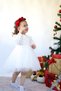 Girls Baby Kids Lace Laced Birthday Party Wedding Special Occasion Tulle Lined Princess Ball Gowns Dress - 6