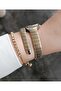 New Snake Model Dk - Yellow Bicolor Steel Bracelet Women's Wristwatch+Gift Bracelet - 4
