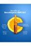 Ampoules - 4