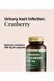 HERBAL STANDARDISED EXTRACT CRANBERRY 500MG, 60 TABLETS - 3