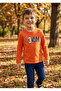 Boy's Printed Long Sleeve T-Shirt 4077