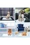 1 Set Of 40 Piece Portable Disposable Pet Dog Urine Pad, Easy To Train Dogs To Pee - 3