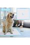 1 Set Of 40 Piece Portable Disposable Pet Dog Urine Pad, Easy To Train Dogs To Pee - 2