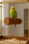 Bird Perch ⚗   Decorative Log-Shaped Bird Tunnel for Bird Cage ⚗   Color Options Available.