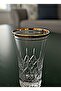 As7 Gold 420055 300 Cc Decorated Hand-Embroidered Water & Soft Drink Glass Set of 6