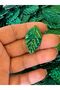 Green Leaf Perforated Sequins Bag Sequins 50 Pieces 4 cm