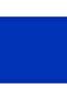 Youth Kids Al-hilal Sfc 24/25 Shorts - Blue - 3