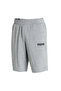 Men Sportswear Fit Brand Logo Bermudas Drawstring Training Shorts, Grey - 3