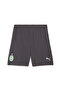 Mens Ac Milan 24/25 Shorts - Gray - 6