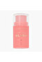 Fast Base Blush Stick - 14 gms - 2