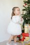 Baby Girl Dress Long Sleeve Tulle Tutu Special Occasion Party Birthday Satin Ball Gown Children Dress - 2