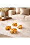 Natural Sea Shell Collection – Large Decorative Seashells for Home Decor, Beach Theme Decorations - 5