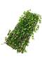Expandable Wicker Fence with Faux Plants 120CM - 3