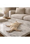 Natural Sea Shell Collection – Large Decorative Seashells for Home Decor, Beach Theme Decorations - 5