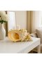 Natural Sea Shell Collection – Large Decorative Seashells for Home Decor, Beach Theme Decorations - 5