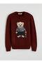 Esvab • Modern & Distinctive Zero Roba Collar Cute Teddy Bear Embroidered Boys' Knitwear Sweater