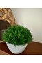 Premium Artificial Grass Ball Gray Cobalt Ida Decorative Tabletop Flower 🌿 - 4
