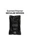 Breeze of Joy Wall-Mounted Lift Diffuser Polymer Spray (SECULAR WOODS) - 2