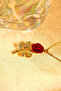 Red Rose Steel Necklace with Zircon Stone Leaf Detail - 5