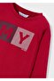 Boy's Basic Long Sleeve Printed T-Shirt - 3