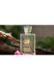 Taif rose perfume عطر الورد الطائفي - 3