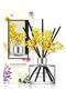 Cocodor Preserved Real Flower Reed Diffuser/Refreshing Air / 6.7oz(200ml) / 1 Pack