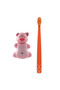 Oral Hygienic Set Fun Animal Toothbrush Holder - 2