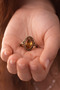 Women's Copper Bracelet Ring Set Zultanite Stone Oval Model Handcuff Antiallergic Bracelet - 4