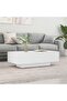 Coffee Table White 100x49.5x31 cm Engineered Wood