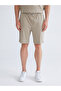 Standard Fit Men's Shorts - 2