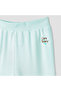 Cloud Co Care Bears Print Joggers with Bow Accent - 3