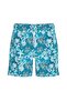 Swimtrunk Men's Swim Shorts