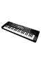 S00054916 -Sun-Jnf-Ech-Org 49 Keys with Microphone - 3
