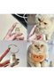 Sarman Cat Hair Storage Souvenir Keychain Cat Keychain with Transparent Orange Headed Cat Figure - 4
