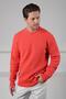 Pomegranate Flower Crew Neck Embossed Hair Braid Patterned 100% Lamb Wool Men's Knitwear Sweater