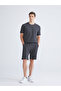 Anthracite Standard Fit Men's Shorts