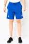 Men Loose Fit Brand Logo Shorts, Blue