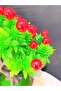 Cobalt I Artificial Fruit Tree Brown Oval Decorative Flower - 4