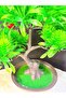 Cobalt I Artificial Fruit Tree Brown Oval Decorative Flower - 6