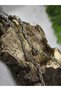 Steel Necklace Men's Steel Necklace Dragon Tooth Necklace Men's Jewelry Steel Jewelry - 3