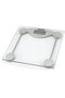 Cantar MS 8137 Transparent