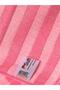 Begonie Microfiber Dusting Cloth Non-Scratch Sensitive Surface Dusting Cloth with Stripes 40X40 cm Pink - 4