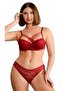 Lace Crossed String Push up (Padded) Bra Panty Set Ebr8061 (with Bra Washing Ball as a Gift) - 2