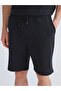 Black Standard Fit Men's Shorts - 6