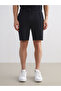 Black Standard Fit Men's Shorts - 3