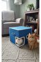 KEDİ EVİ - 5