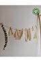 Organic Dye-Free Lace 5-Piece Hospital Release Set - 3