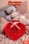 Heart Plush Hot Water Bag - Love, Termofor Hot Water Bag Red - 4