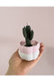 Cactus Design Jewelry Box |   Ring, Bracelet and Necklace Organizer |   Decorative Storage Box - 7